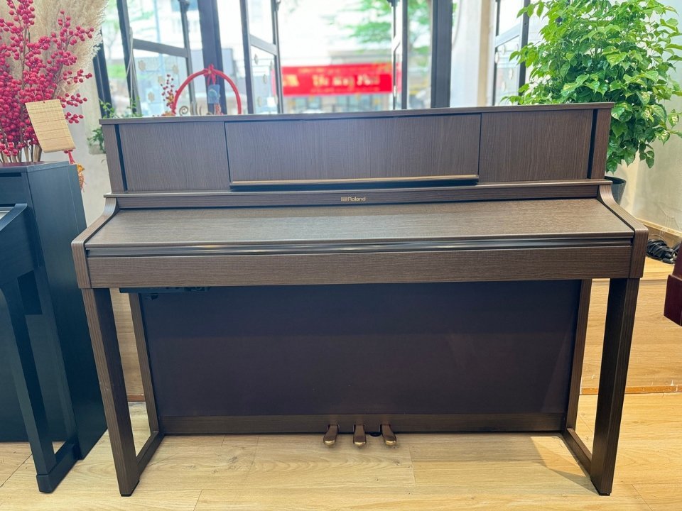 Hình ảnh chi tiết ROLAND LX-7 BW góc chụp 2